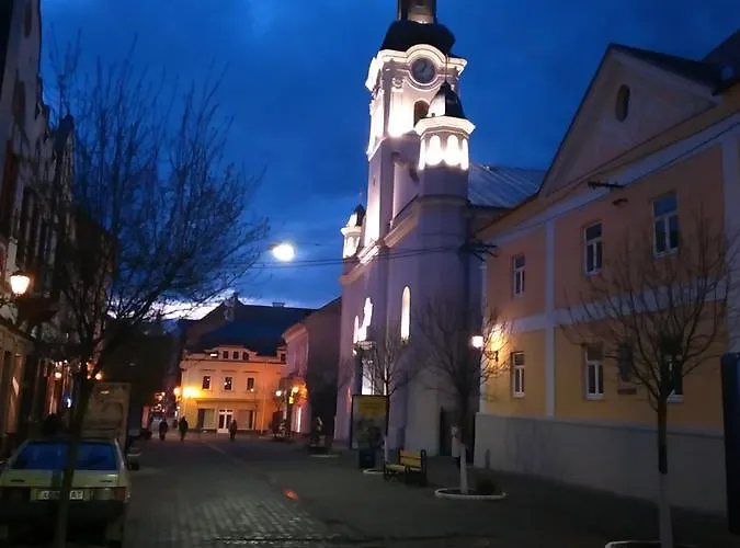 кімнати в центрі *